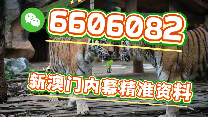 澳门今晚必开一肖一特,探寻背后的文化魅力与预测逻辑,澳门今晚必开生肖一特背后的文化魅力与预测逻辑探寻