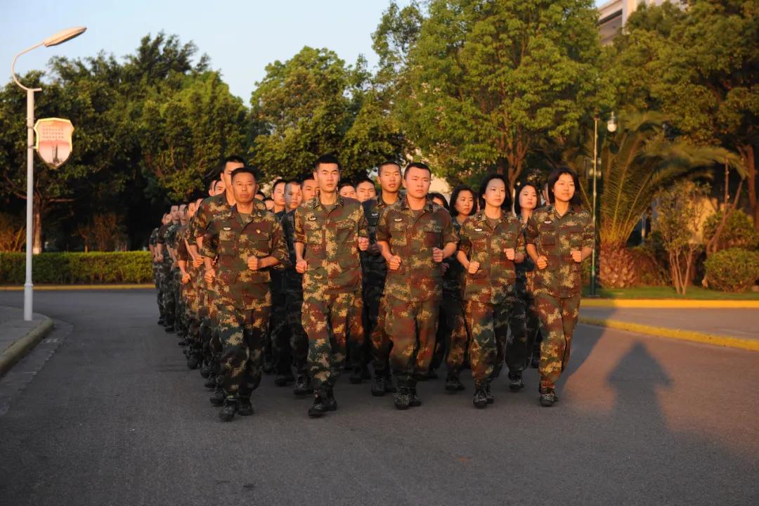 八一勋章的授予周期及其深远意义，八一勋章授予周期及其深远意义解读