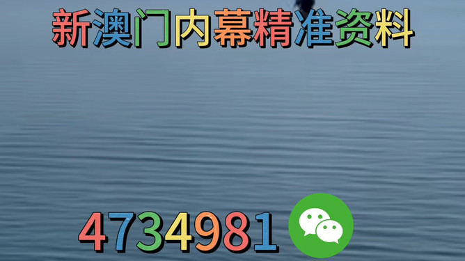 揭秘精准预测,数字组合77777与88888背后的秘密,数字组合77777与88888的神秘面纱,揭秘背后的秘密真相