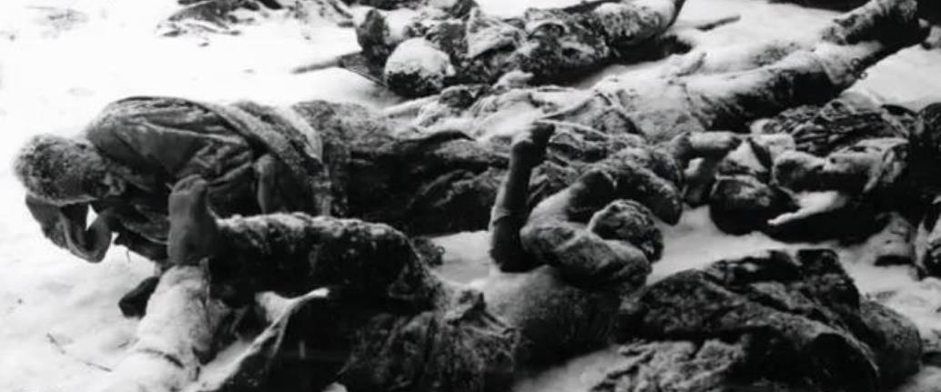 长津湖战役真实事件,英勇无畏的抗争与牺牲精神,长津湖战役,英勇抗争与牺牲精神的真实写照