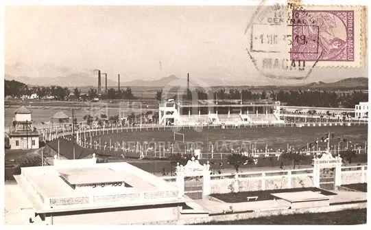 新澳门跑狗图正版免费，探索与解析，澳门正版跑狗图探索与解析指南