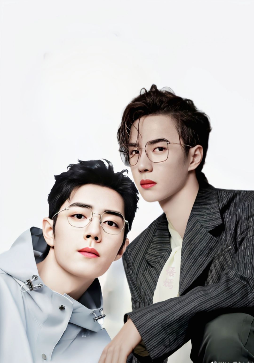 王中王一马一肖兔费资料深度解析,王中王一马一肖兔费资料深度解读