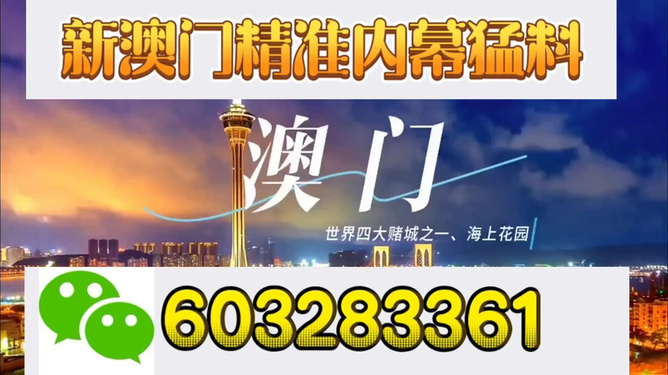 澳门今晚必开一肖82期,探索生肖彩票的魅力与玄机,澳门生肖彩票探索,第82期生肖的神秘魅力与玄机