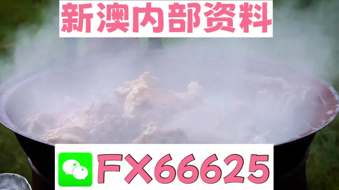 新澳全年免费资料大全，探索与收获，新澳全年免费资料大全，探索之旅与收获的时刻