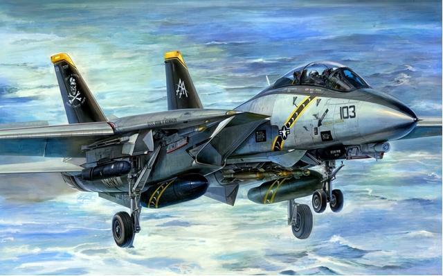 F-28雄猫战斗机,空中巨匠的传奇故事,F-28雄猫战斗机的传奇之旅