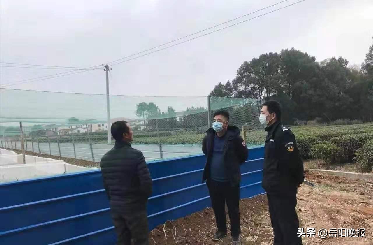 今日头条新闻,岳阳疫情防控的最新进展,岳阳疫情防控最新进展,今日头条新闻报道更新