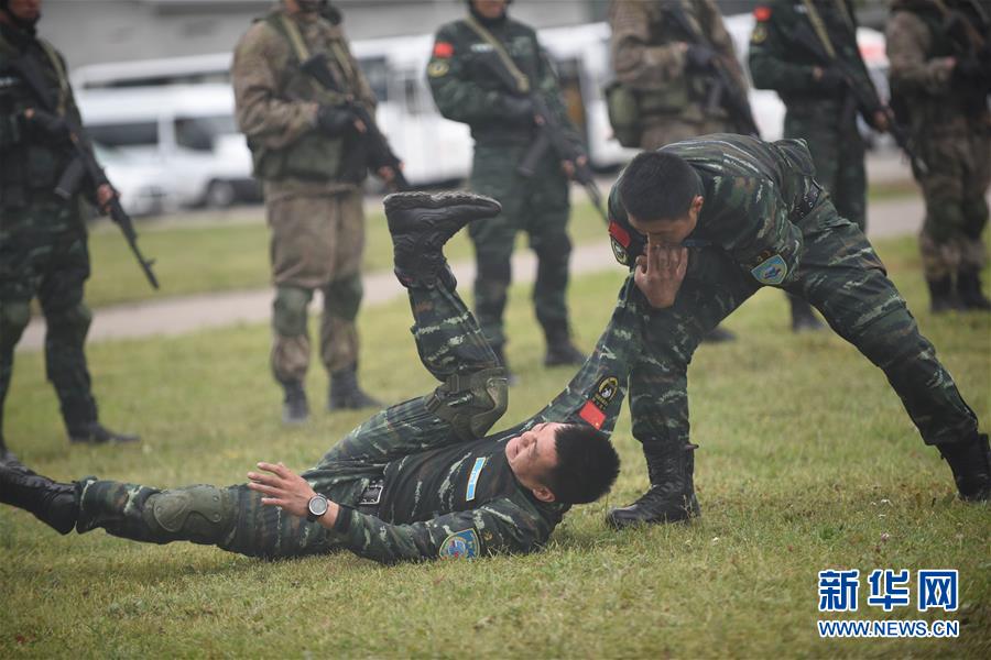 中俄合作2016反恐视频,深化合作,共筑地区安全,中俄合作深化反恐合作,共筑地区安全,发布2016反恐视频