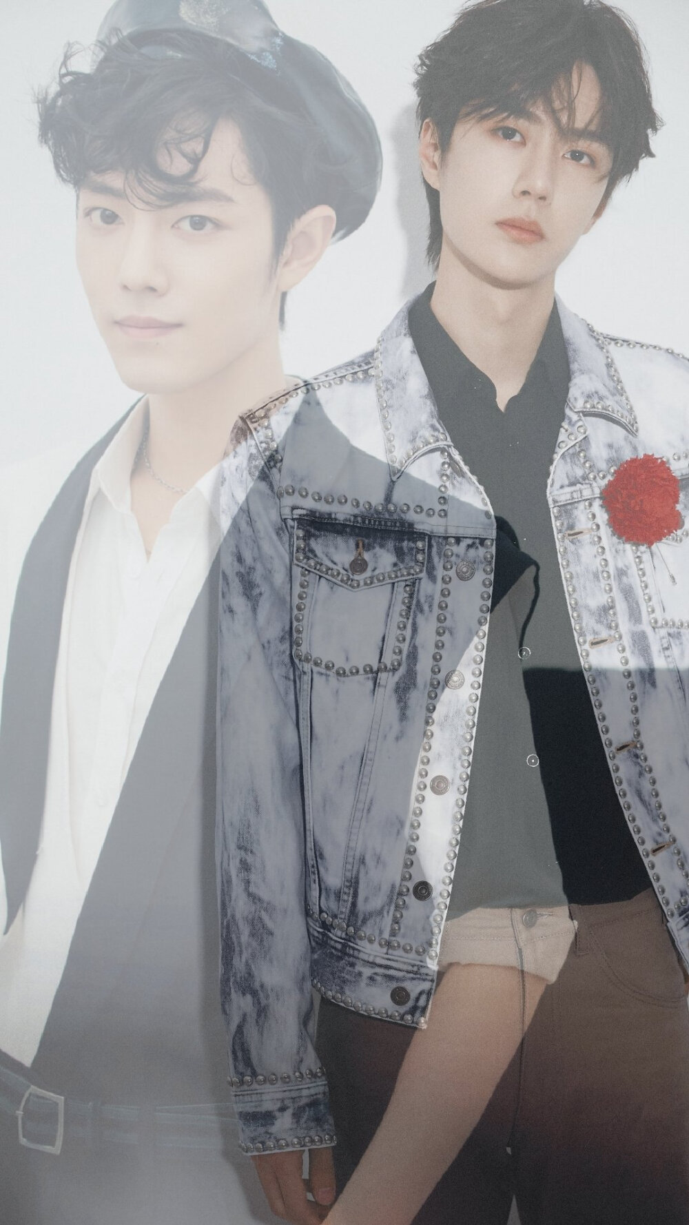 王中王一肖中特与amp资料的深度解析，王中王一肖中特与amp资料的全面解析研究