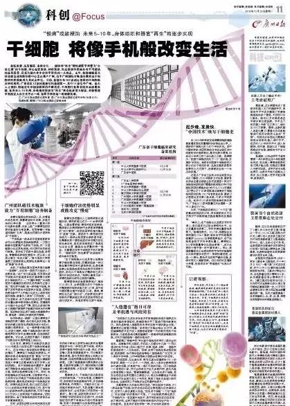 世界新闻报干细胞封面人物——揭示生命之源的杰出科学家,干细胞研究揭秘生命之源,杰出科学家封面人物报道世界新闻报