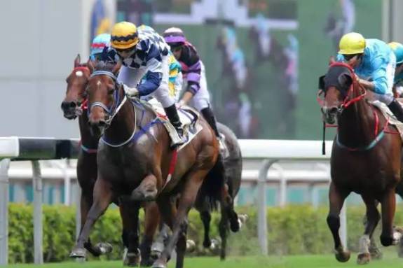 香港今晚开奖结果及开奖记录解析,香港今晚开奖结果及记录深度解析