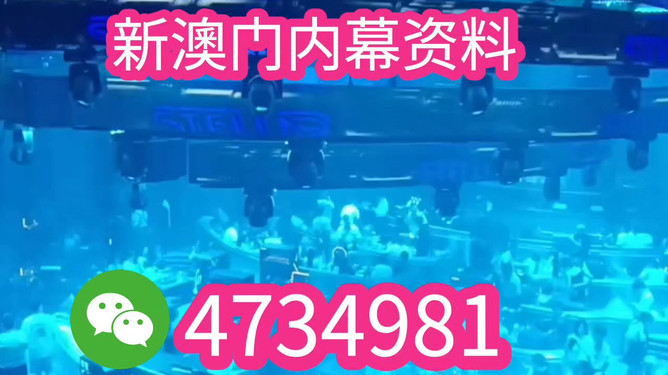 澳门特马今晚开奖亿彩网——探索彩票背后的故事与未来展望,澳门特马亿彩网揭秘,今晚开奖背后的故事与未来展望