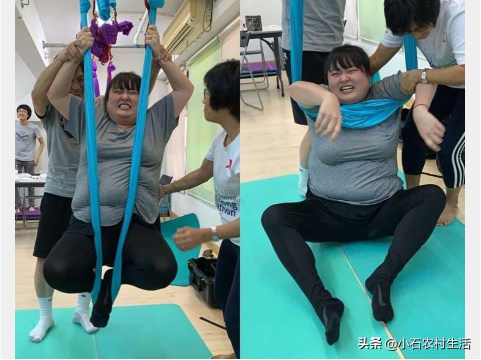 2025年香港正版资料免费大全——探索信息的海洋，香港正版资料大全，探索信息的海洋（2025版）