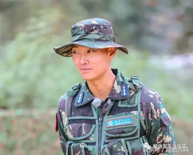 刘金沂的年龄,探索与解析,揭秘刘金沂的真实年龄,深度探索与解析