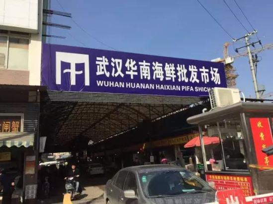 华南海鲜市场老板的身份揭秘,揭秘华南海鲜市场老板身份内幕