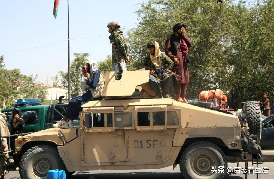 M113轻装甲运兵车,历史、特点与现代应用,M113轻装甲运兵车,历史沿革、特点解析与现代应用探讨