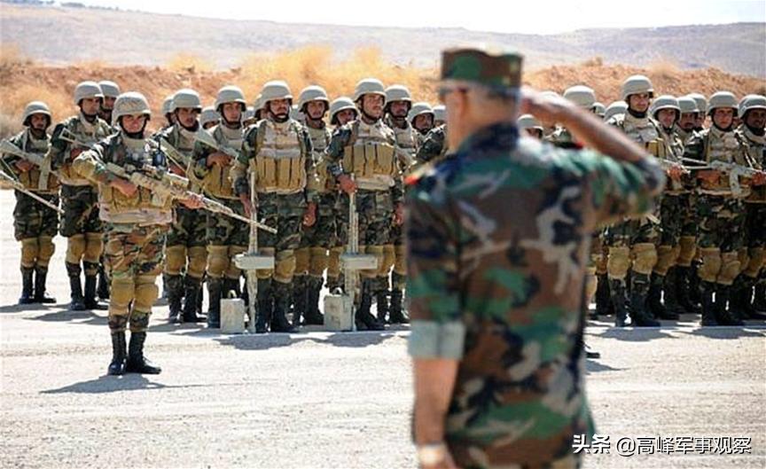 叙利亚政府军编制深度解析，叙利亚政府军编制深度探究