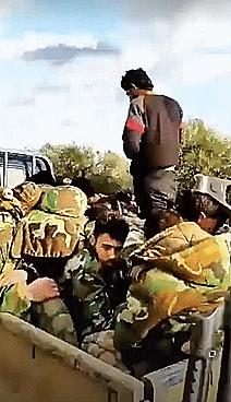 叙利亚政府军编制深度解析,叙利亚政府军编制深度探究