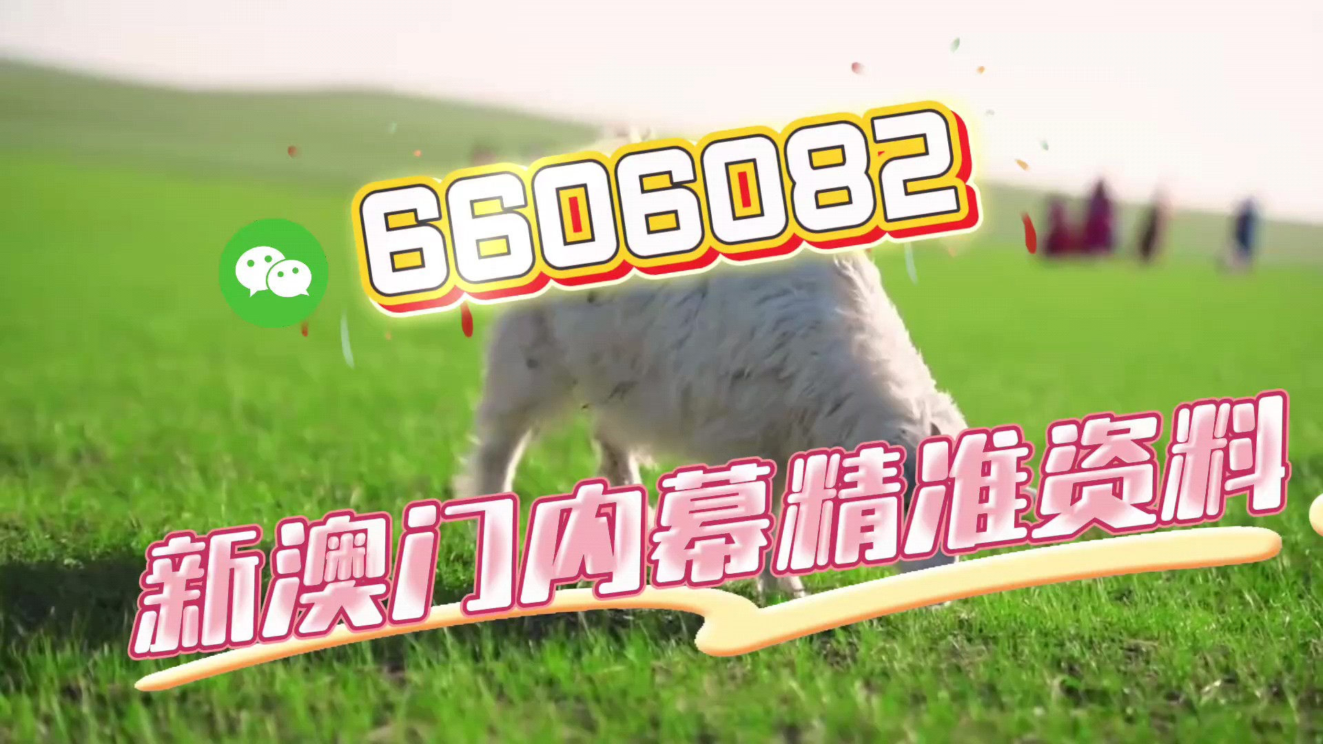 今晚澳门开最准一肖一码——探索幸运之门,澳门今晚最准一肖一码揭秘,探索幸运之门