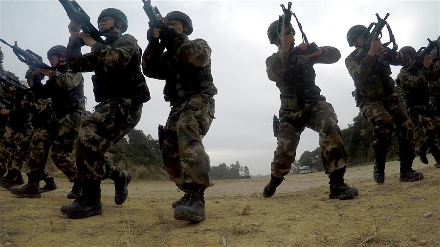 蛟龙雪豹,突击队的力量与荣耀,蛟龙雪豹展现突击队力量与荣耀