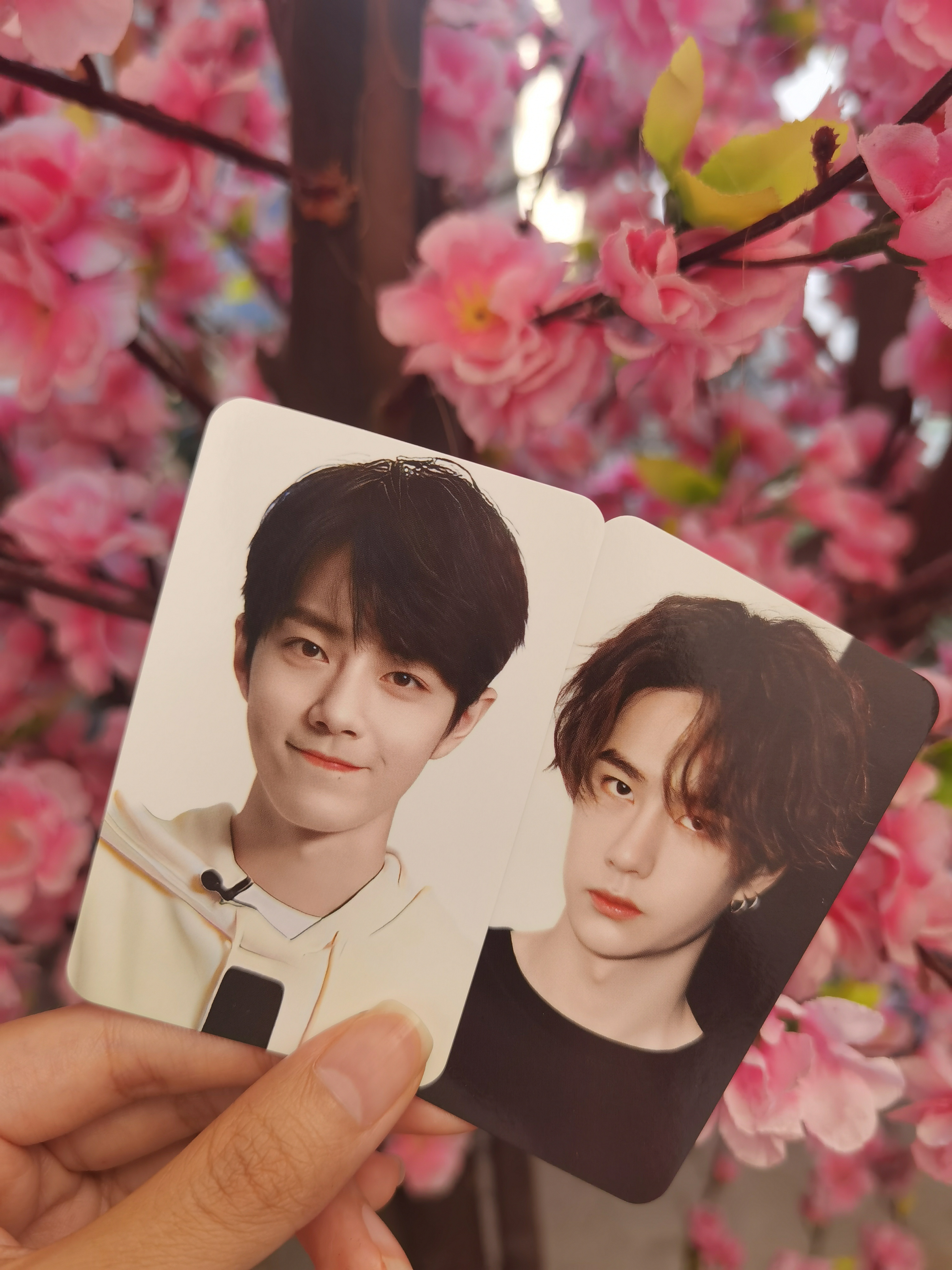 一肖一码一一肖一子