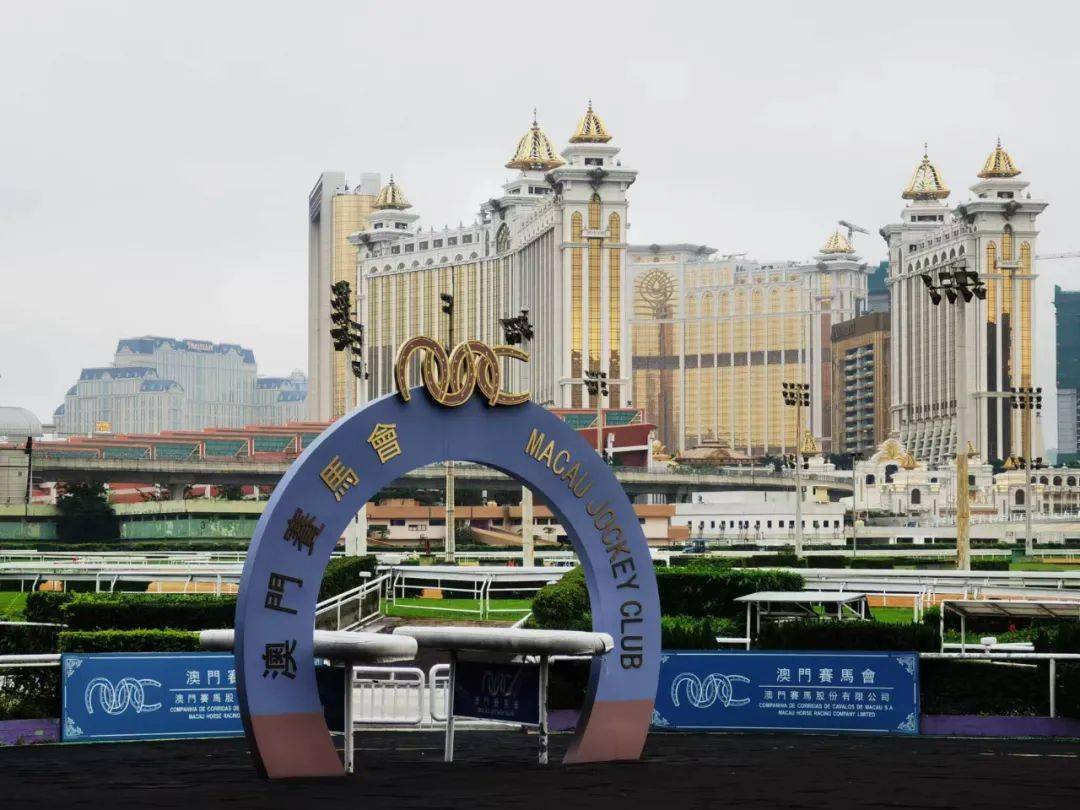 澳门赛马会资料最准一码,深度解析与探讨,澳门赛马会资料深度解析,揭秘最准一码探讨