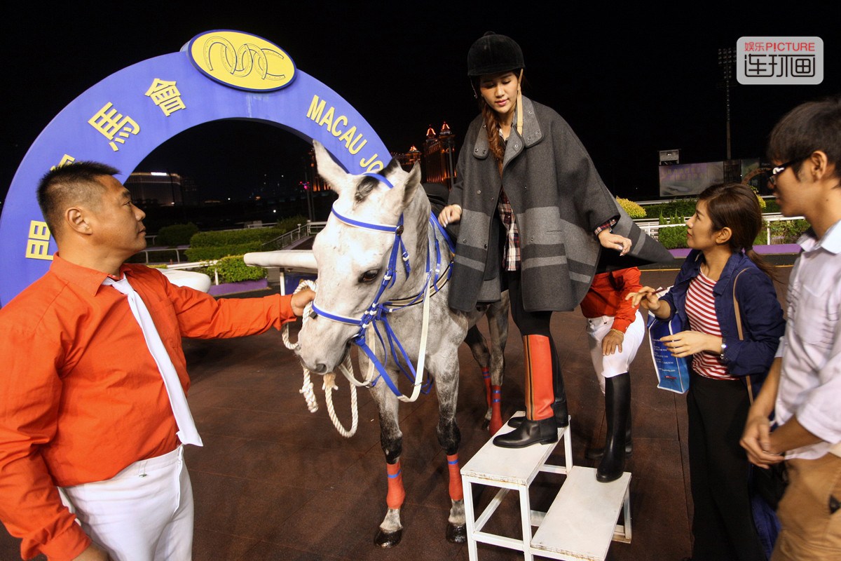 澳门赛马会资料最准一码