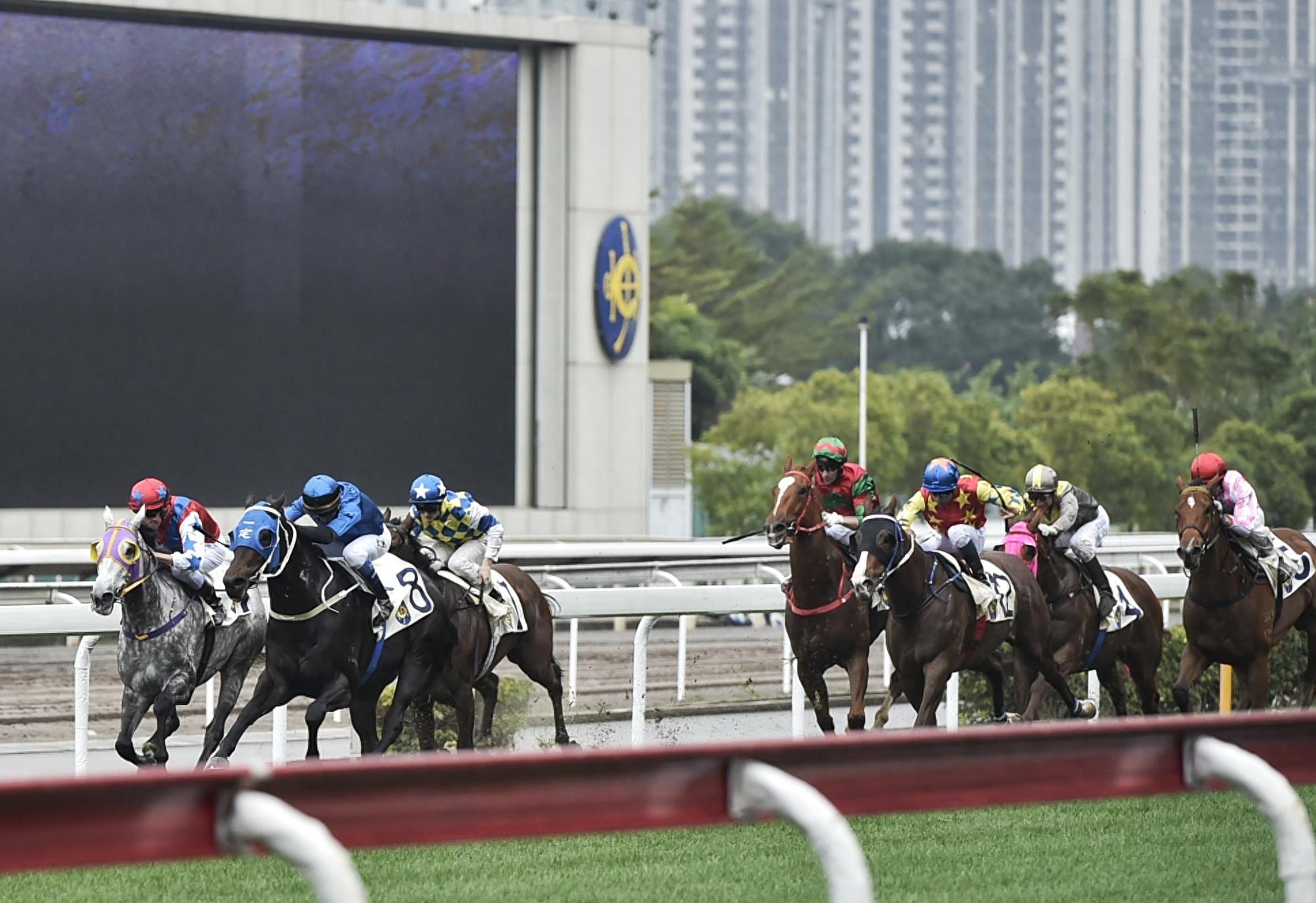澳门赛马会资料最准一码,深度解析与探讨,澳门赛马会资料深度解析,揭秘最准一码探讨