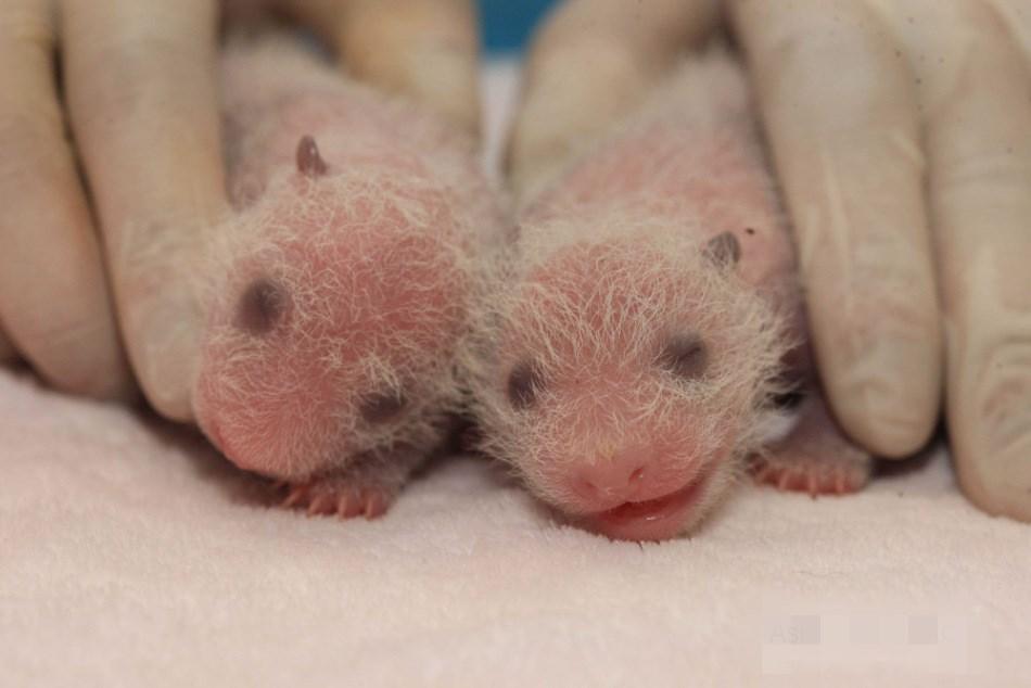 今天刚刚发生的重大新闻,全球瞩目的事件揭秘,全球瞩目事件揭秘,今日重大新闻速递