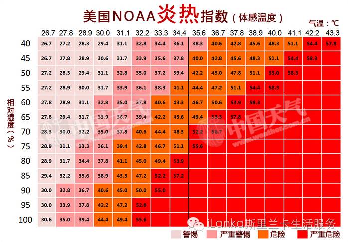 铁算算盘4887跑狗图——深度解析与探索,铁算算盘4887跑狗图,深度探索与解析报告