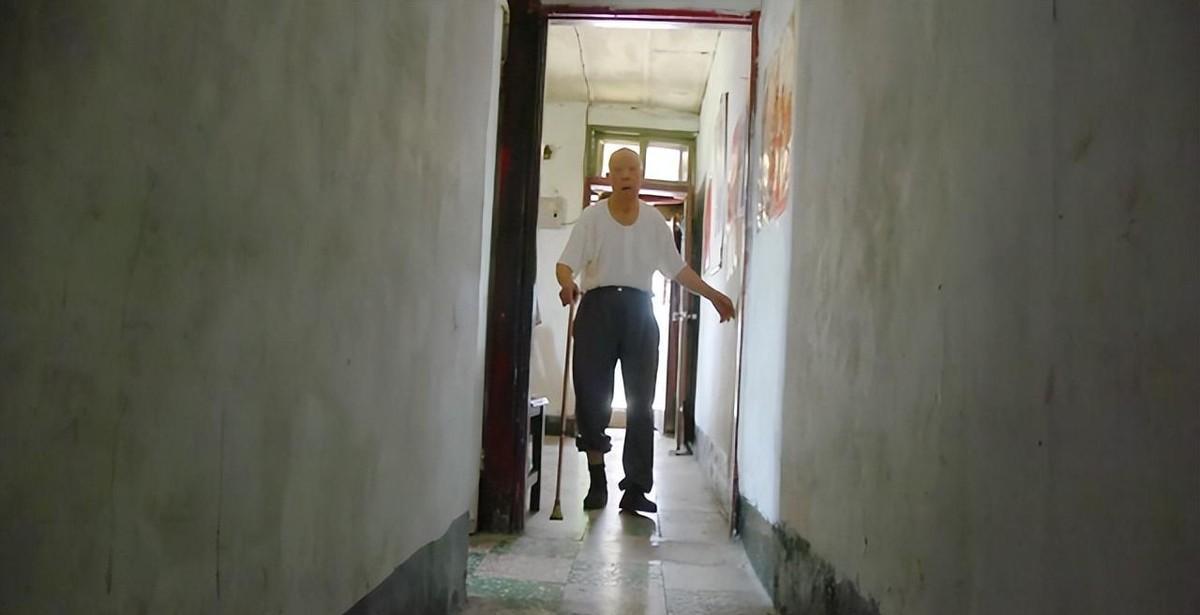 深度解读与探讨