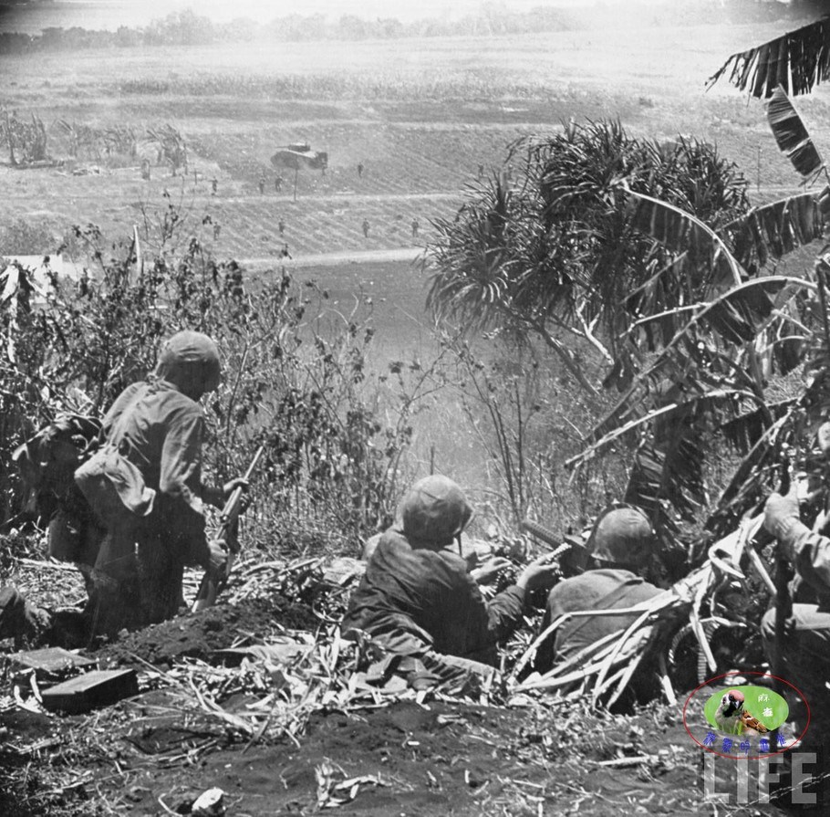 军事见识与军事事件,历史与现实的交织,军事见识与军事事件,历史与现实的深度交织