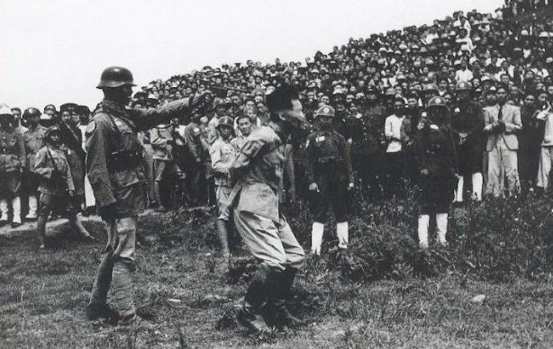 关于日本的军事新闻,最新动态与深度解析,日本军事新闻最新动态与深度解析