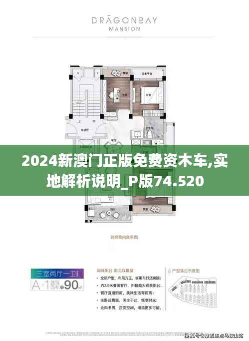 探索澳门新机遇,2025新澳门正版免费资源车的发展之路,澳门新机遇探索,2025年正版免费资源车发展之路