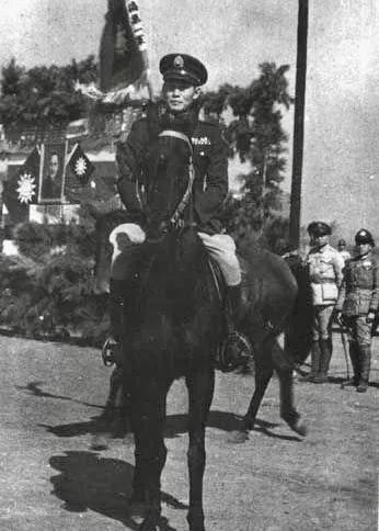 远征军小说血战缅甸，免费阅读下的英勇史诗，远征军血战缅甸，英勇史诗的免费阅读之旅