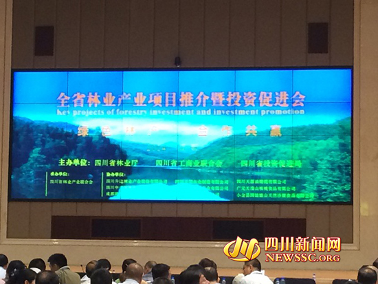 四川今天发生的重大新闻,新进展与引人注目的动态,四川今日热点新闻,最新进展与瞩目动态