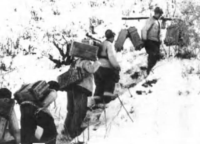 揭秘中国人民解放军历史上的传奇部队,38军113师338团的前世今生,揭秘传奇部队,中国人民解放军历史上的38军113师338团的前世今生