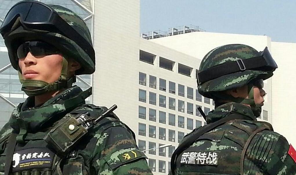 中国人民武装警察部队构成,中国人民武装警察部队的构成与力量