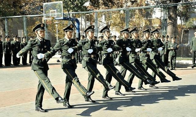 专科武警学院有哪些,深度解析中国武警学院体系,深度解析,中国武警学院体系及专科武警学院一览