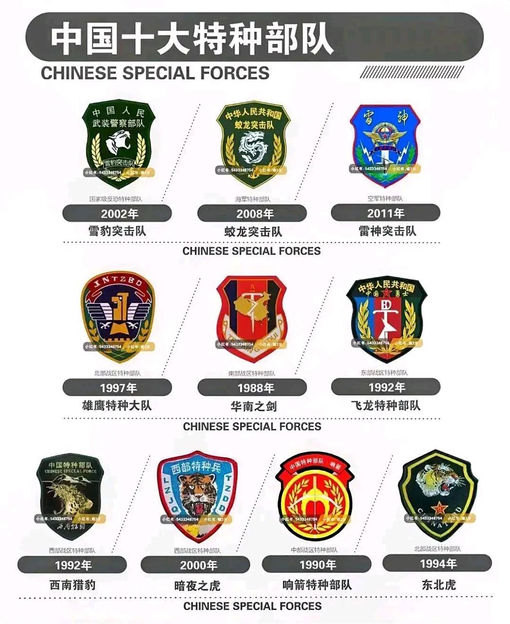 中国特种部队排名榜第一,荣耀与实力的象征,中国特种部队荣登榜首,荣耀与实力的象征