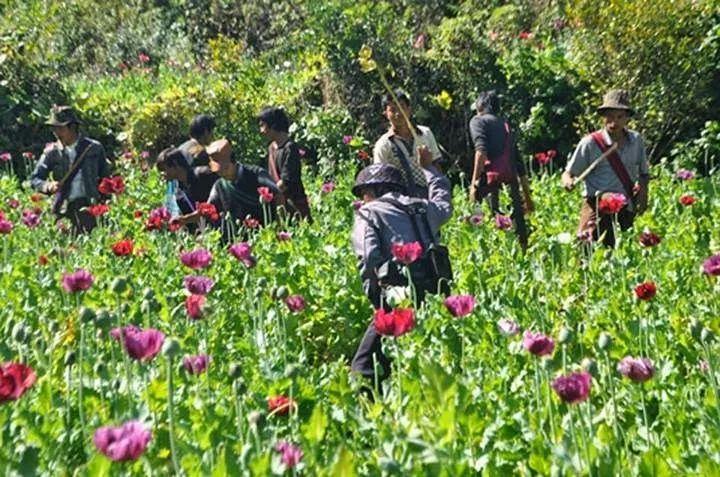 缅北各武装实力排名,缅北各武装实力排名揭秘