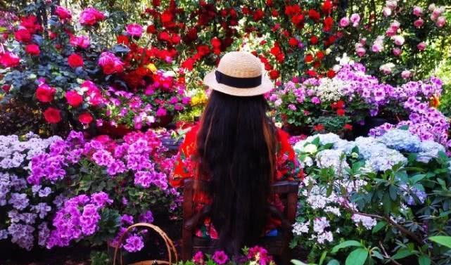 今天也是莬丝花魏满十四岁,莬丝花魏满十四岁,成长的新起点