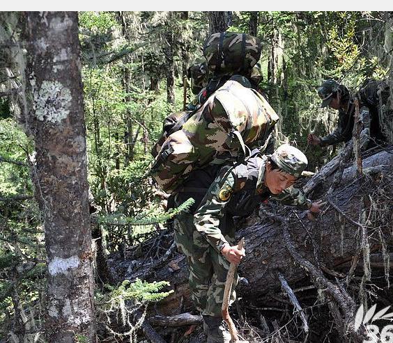 中国女子特战队概述,中国女子特战队概览