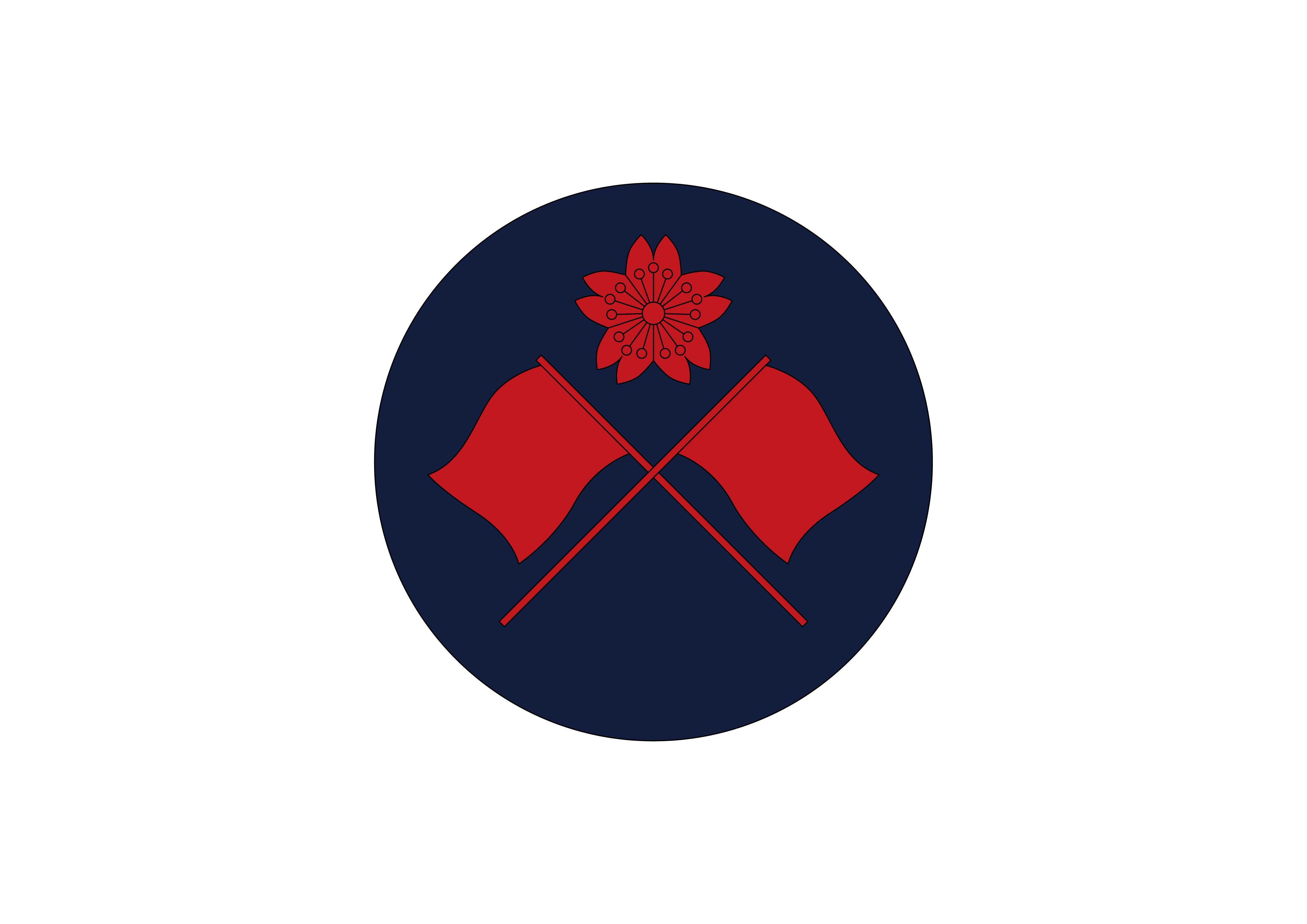 中国人民解放军海军臂章,荣耀与责任的象征,中国人民解放军海军臂章,荣耀与责任的独特标志