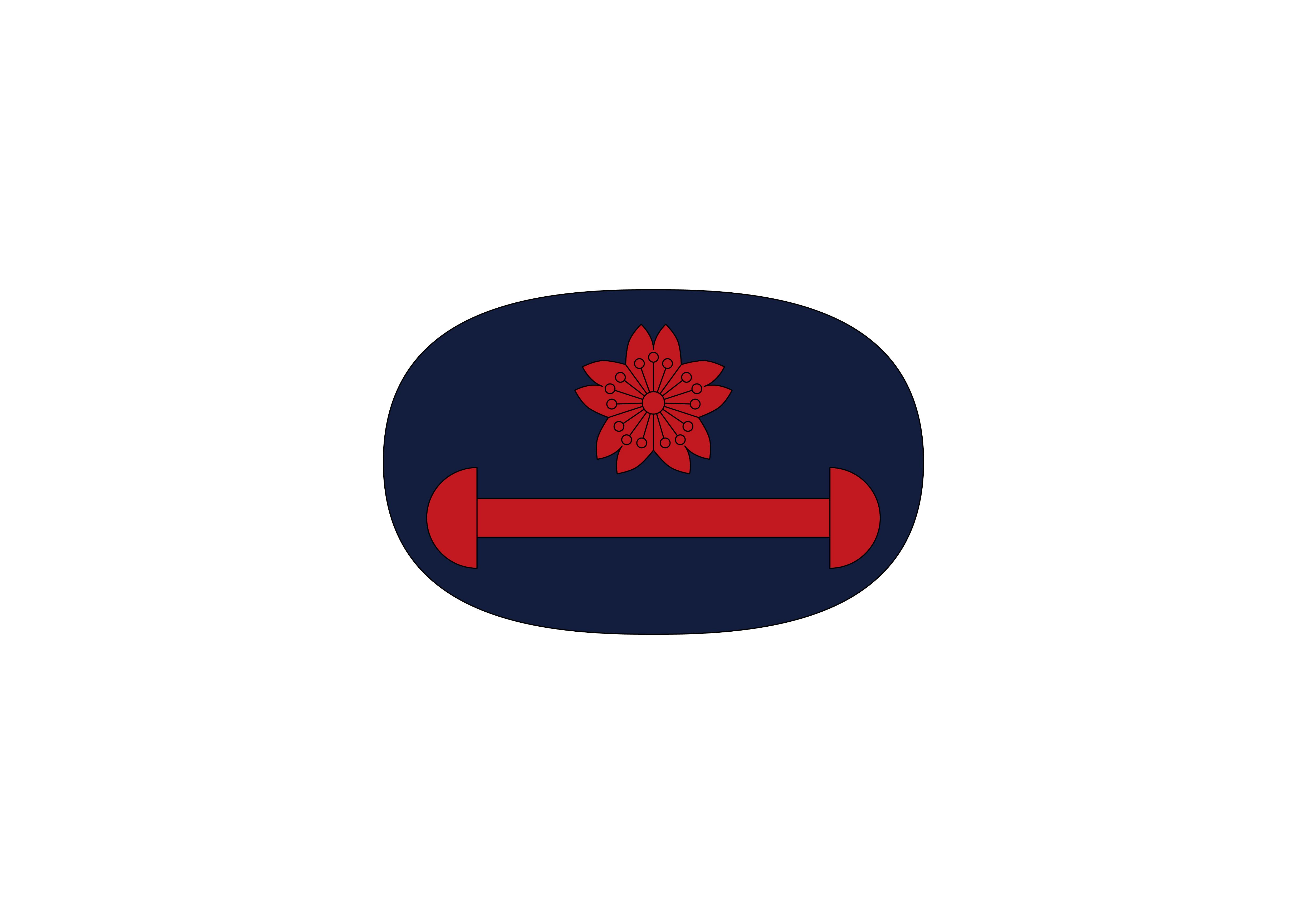 中国人民解放军海军臂章,荣耀与责任的象征,中国人民解放军海军臂章,荣耀与责任的独特标志