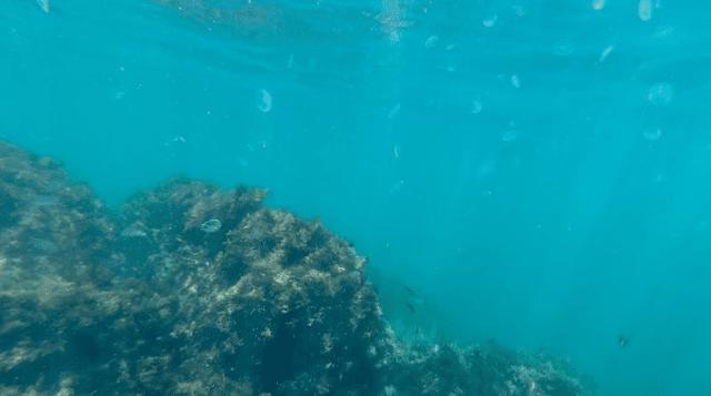 海底一万米,潜水员的生死挑战与心理极限,海底一万米,潜水员的生死挑战与心理极限考验