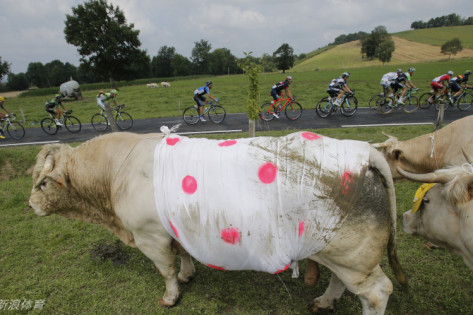 王中王四不像定一肖,神秘与传奇的交融,王中王四不像定一肖,神秘与传奇的交融揭秘