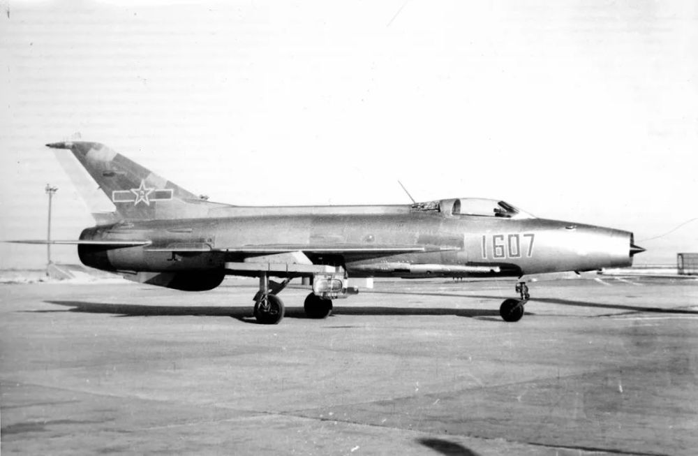 鹘鹰战机上的鹰,翱翔天际的雄壮与智慧,鹘鹰战机之雄壮智慧,翱翔天际的雄鹰