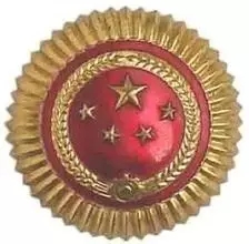 武警部队21式帽徽,新时代的象征与荣耀,武警部队21式帽徽,新时代的象征与荣誉