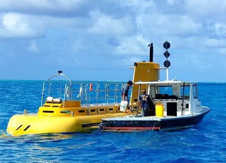 观光潜水艇的价格探索,一只究竟多少钱?,观光潜水艇价格揭秘,究竟要花多少钱才能拥有一只?