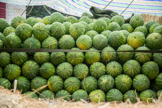 澳门一码一肖,100%准确预测的可能性探讨,澳门一码一肖预测准确性探讨